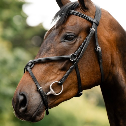Horseware Figure 8 Grackle Bridle