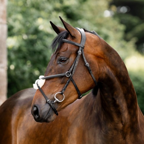 Horseware Figure 8 Grackle Bridle