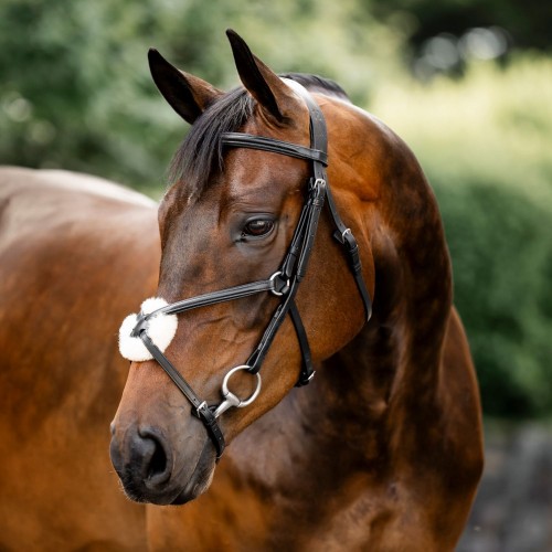 Horseware Figure 8 Grackle Bridle