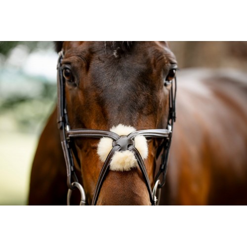 Horseware Figure 8 Grackle Bridle