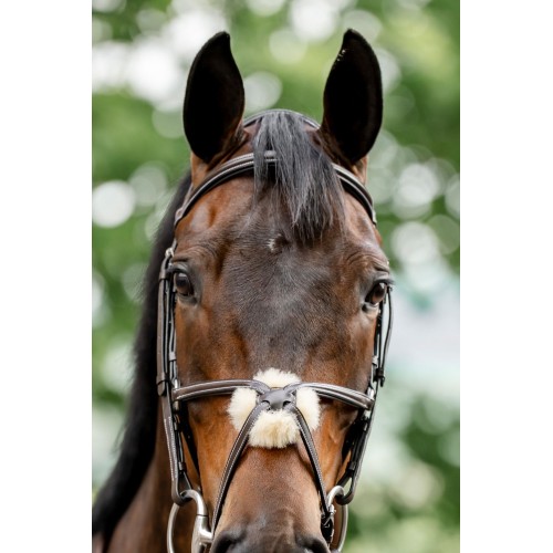Horseware Figure 8 Grackle Bridle