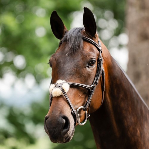 Horseware Figure 8 Grackle Bridle