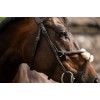Horseware Figure 8 Grackle Bridle
