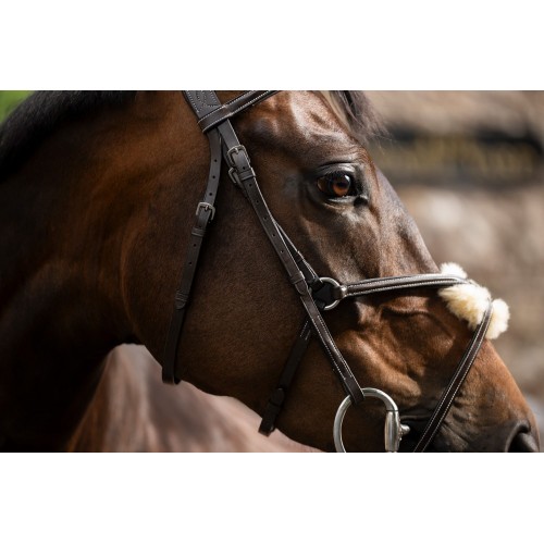 Horseware Figure 8 Grackle Bridle