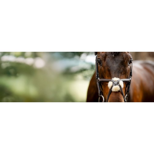 Horseware Figure 8 Grackle Bridle