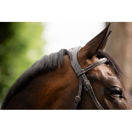 Horseware Figure 8 Grackle Bridle