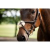 Horseware Figure 8 Grackle Bridle
