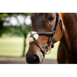 Horseware Figure 8 Grackle уздечка