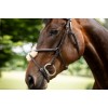 Horseware Figure 8 Grackle Bridle