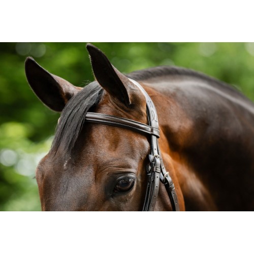 Horseware Figure 8 Grackle Bridle