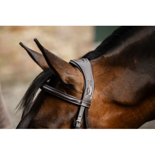 Horseware Figure 8 Grackle Bridle