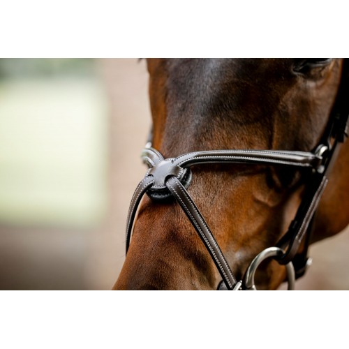 Horseware Figure 8 Grackle Bridle