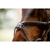 Horseware Figure 8 Grackle Bridle