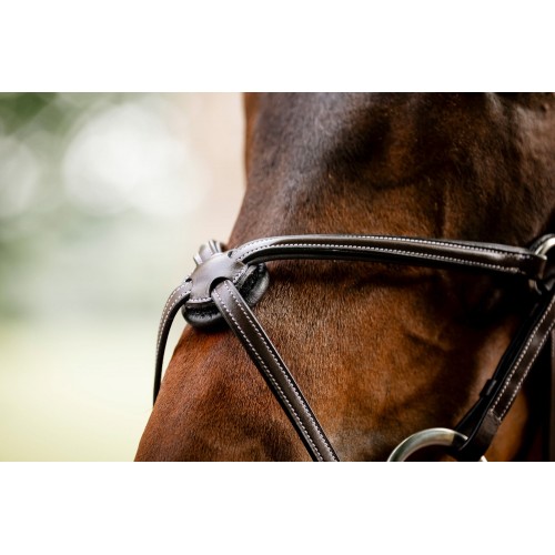 Horseware Figure 8 Grackle Bridle