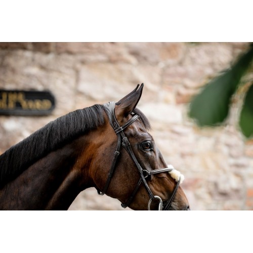 Horseware Figure 8 Grackle Bridle