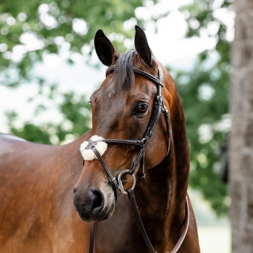 Horseware Figure 8 Grackle Bridle