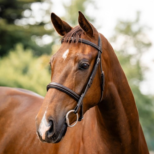 Horseware Hunter Bridle