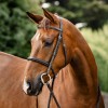 Horseware Hunter Bridle