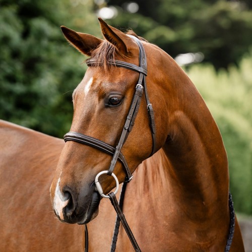 Horseware Hunter Bridle