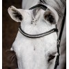 Horseware Micklem 3 Diamante Competition