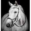 Horseware Micklem 3 Diamante Competition