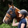 Horseware Hunter Bridle