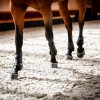 Horseware Classic Tendon Boots
