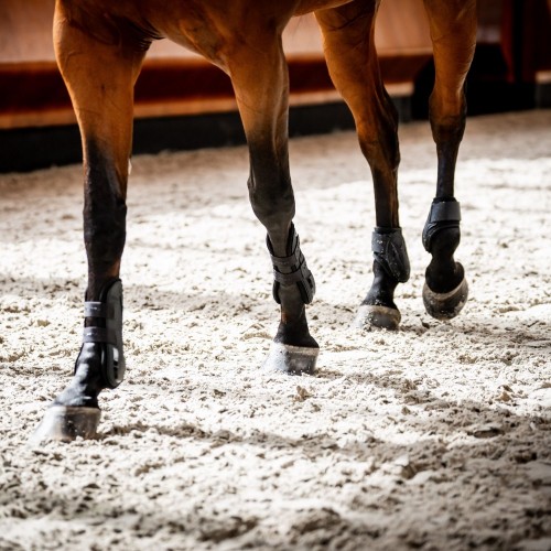 Horseware Classic Tendon Boots