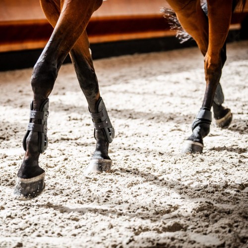 Horseware Classic Tendon Boots