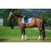 Tommy Hilfiger Stanford Dressage Saddle Pad