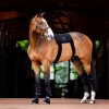 Horseware LED Red Light Therapy Leg Wraps