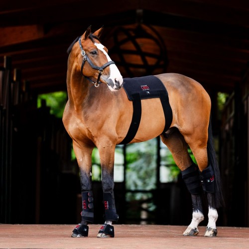 Horseware LED Red Light Therapy Leg Wraps