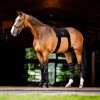 Horseware LED Red Light Therapy Leg Wraps