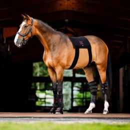 Horseware LED красный Light Therapy бандажи для ног