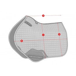 LeMieux SS26 Loire Classic Close Contact Square