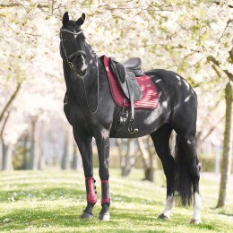 Imperial Riding вальтрап IRHJosie DR