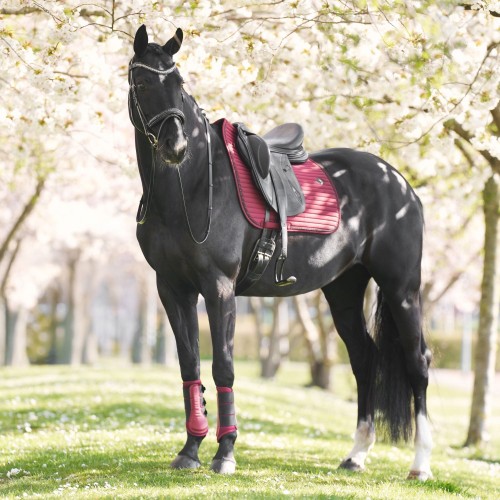 Imperial Riding Saddle Pad IRHJosie DR