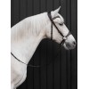 Nalanta Compete Bitless Bridle