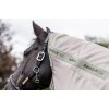 LeMieux Arika Armour Tek Fly Rug
