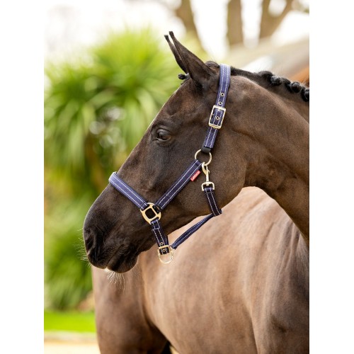 LeMieux CORE Essential Yard Headcollar