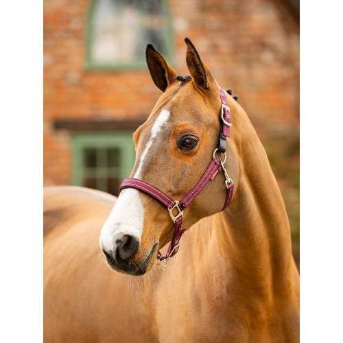 LeMieux CORE Essential Yard Headcollar