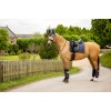LeMieux SS25 Loire Classic Dressage Saddle Pad Dusk Blue