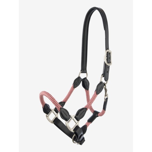 LeMieux AW25 Ropella Cranberry Headcollar