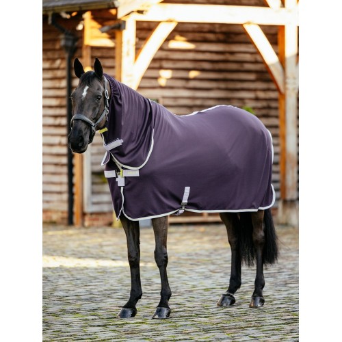LeMieux AW25 Arika DryEase Rug Juniper