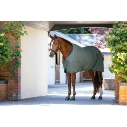 LeMieux AW25 Arika Monogram флисовая попона Rosemary