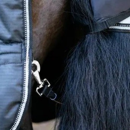 LeMieux AW25 Arika reflective turnout rug 100g black