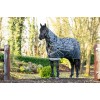 LeMieux AW25 Arika Reflective Turnout Rug 0g Black
