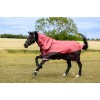 LeMieux AW25 Arika Ripstop 200g Turnout Rug Cranberry