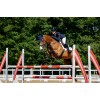 LeMieux CORE Cotton Close Contact Competition Square