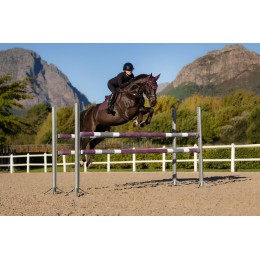 LeMieux AW25 Essence EuroJump Damson вальтрап